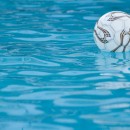polo ball source image